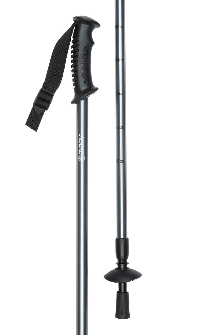 Ziggy Pole in Gunmetal Grey Design-Classy Walking Canes