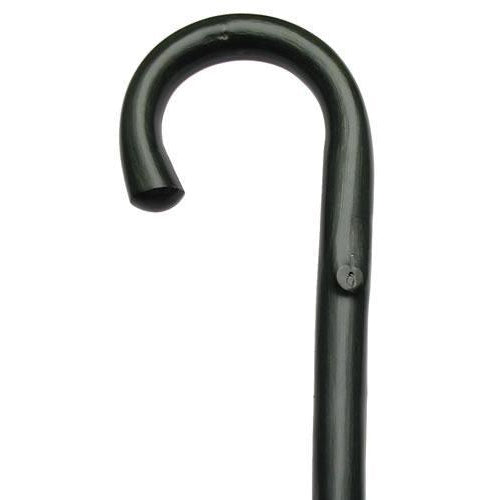 Logan Green Crook Handled Cane-Classy Walking Canes