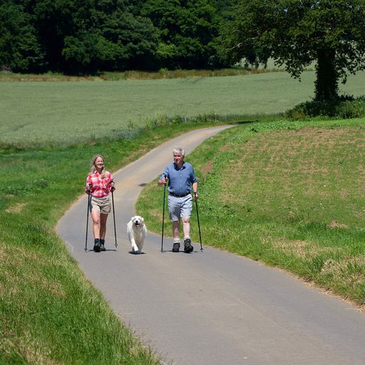History of Hiking Sticks