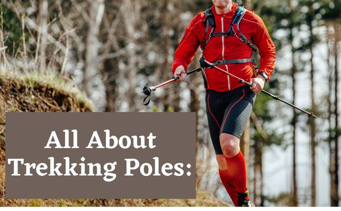 All About Trekking Poles