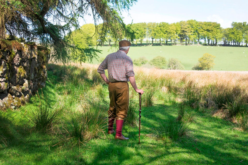 A Timeless Classic: The Gents Blackthorn Derby Walking Cane