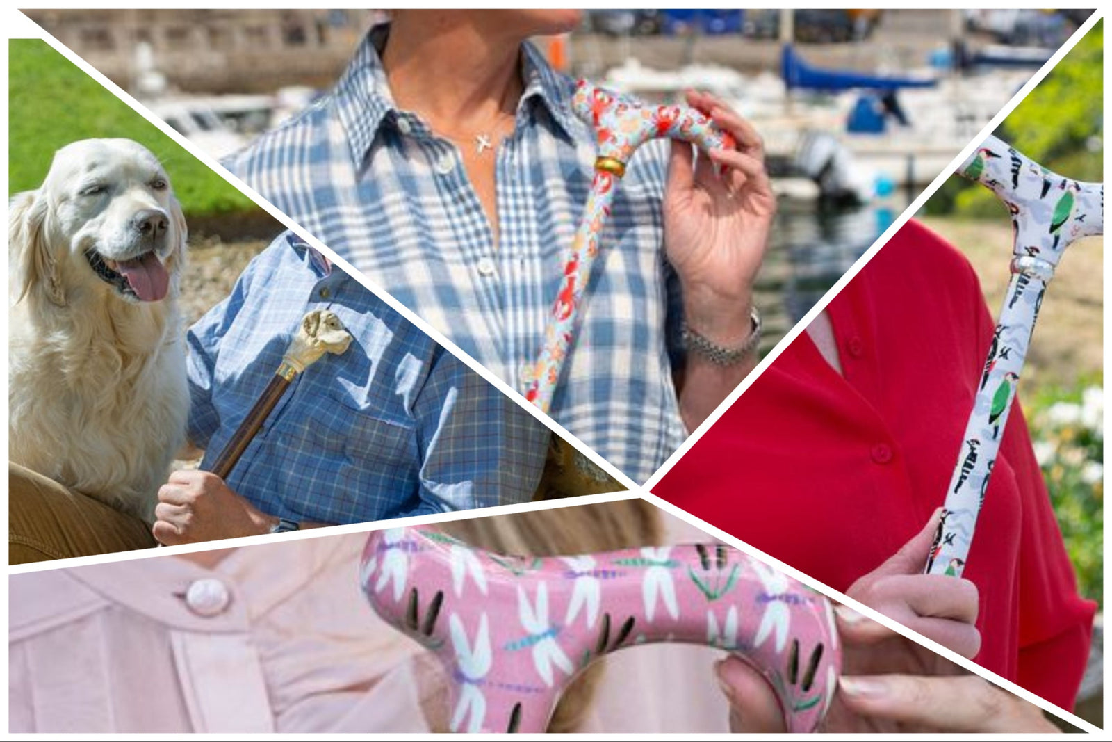 Should I use a Walker or Walking Cane?