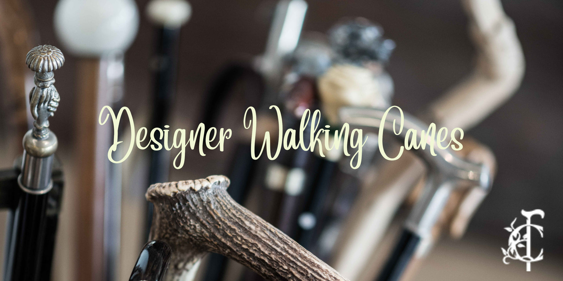 Designer Walking Canes