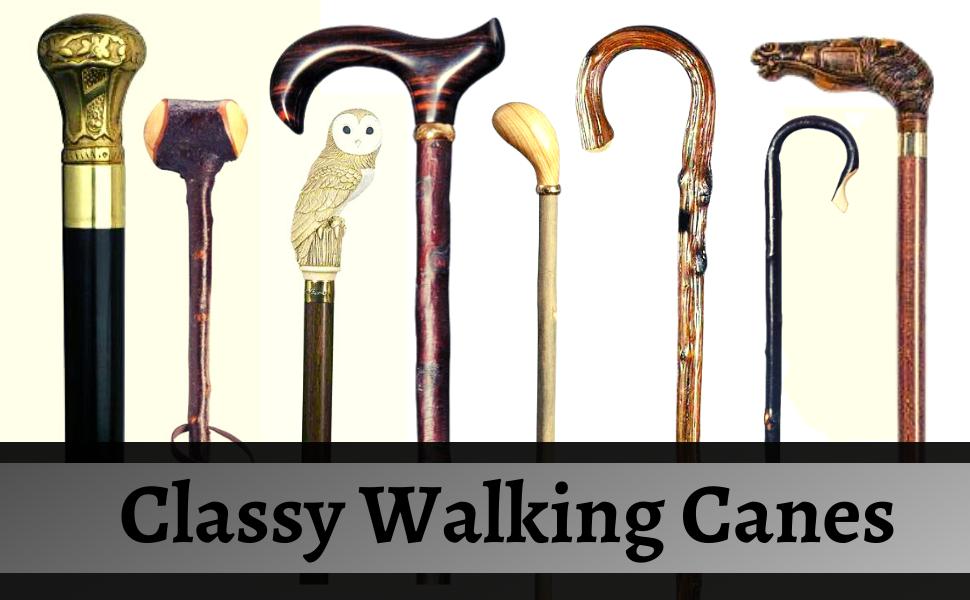 Tips and Tricks for Choosing a Walking Stick