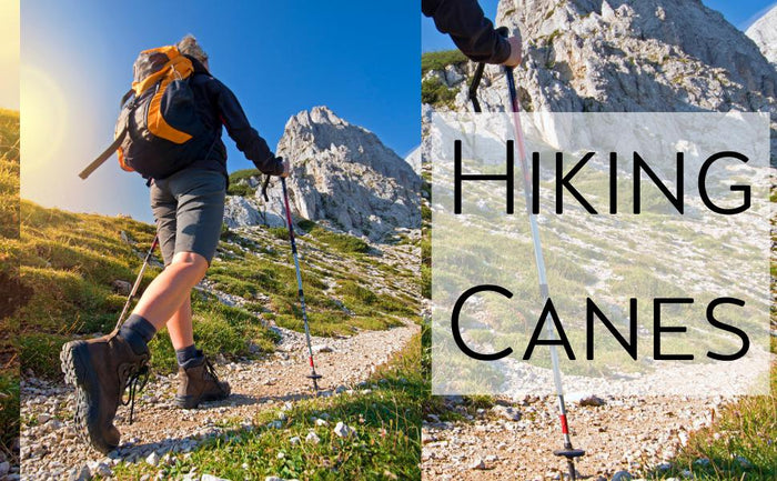 Tips for Choosing an Ideal Hiking Stick