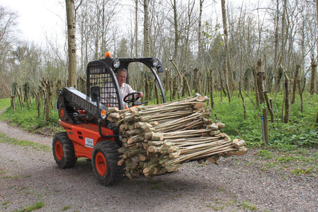 What are the Different Woods Used in Walking Canes?