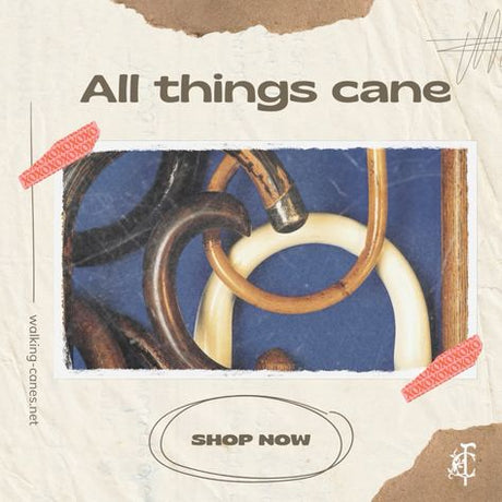 All Things Walking Canes: A Comprehensive Guide