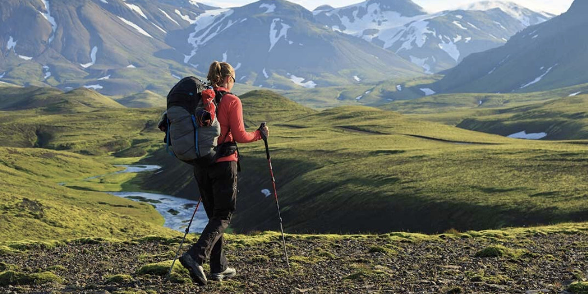 Choose the Perfect Hiking Stick