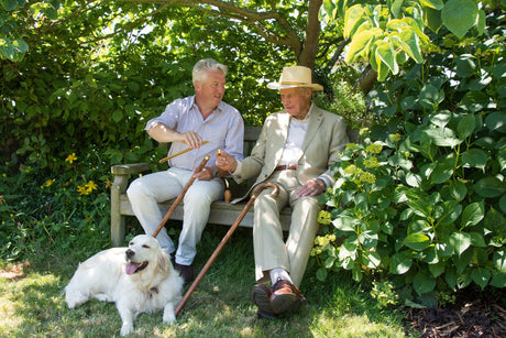 The History of Blackthorn Walking Sticks
