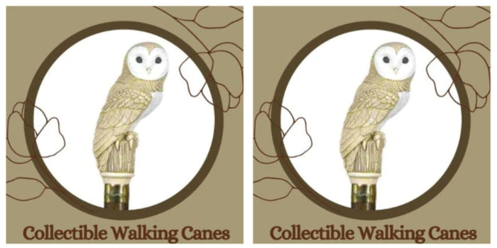 Collectible Walking Canes: A Fascinating Hobby