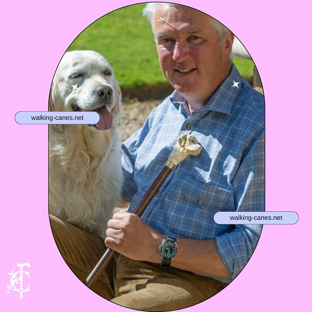 Cane Corso: A Majestic Breed for Canine Lovers