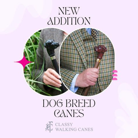 Walking Canes with Dog Breed Handles: A Unique and Stylish Way to Walk