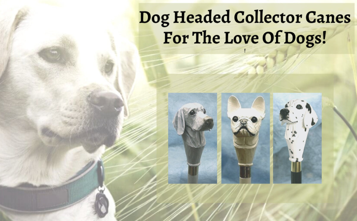 Dog Headed Collector Canes for the Love of Dogs