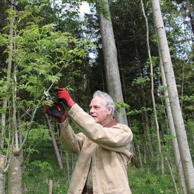 Choosing Eco-Friendly and Resilient Materials for Long-Lasting, Comfortable Walking Canes