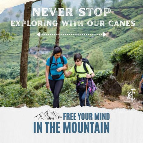 Never Stop Exploring: Unleashing Adventure with Canes and Sticks