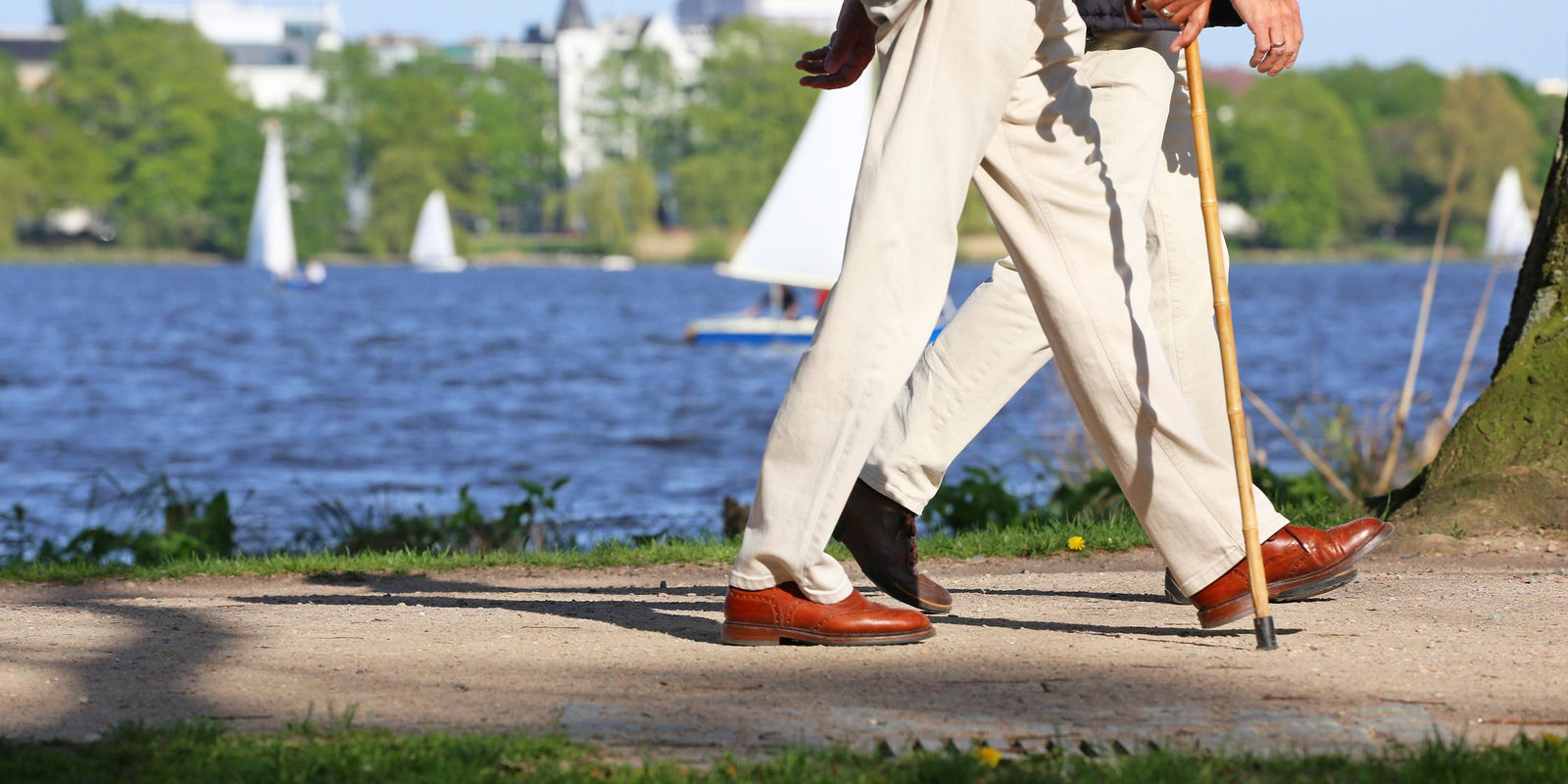 Major Differences Between A Walking Stick and A Cane