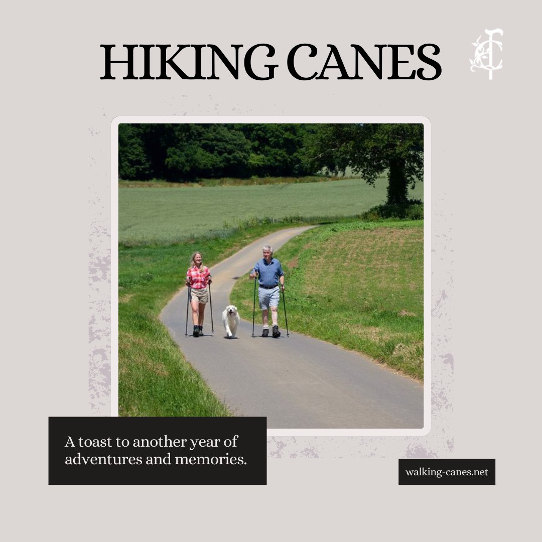 Hiking Canes for a Fun Afternoon Walk