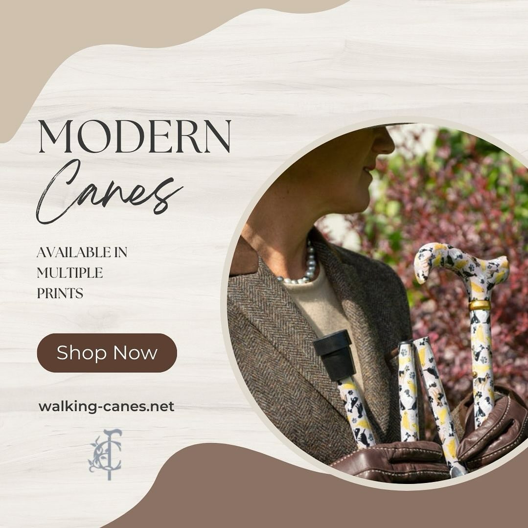 Elevate Your Style: A Guide to Modern Classy Walking Canes