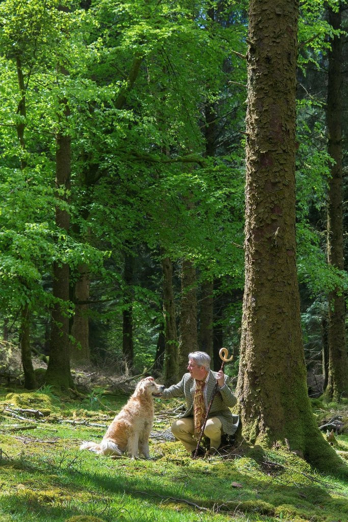 Points to Ponder While procuring Walking Canes