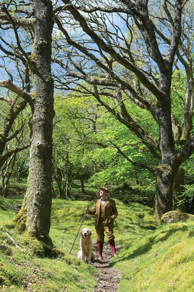 3 Cane Options for Gifting this Father’s Day