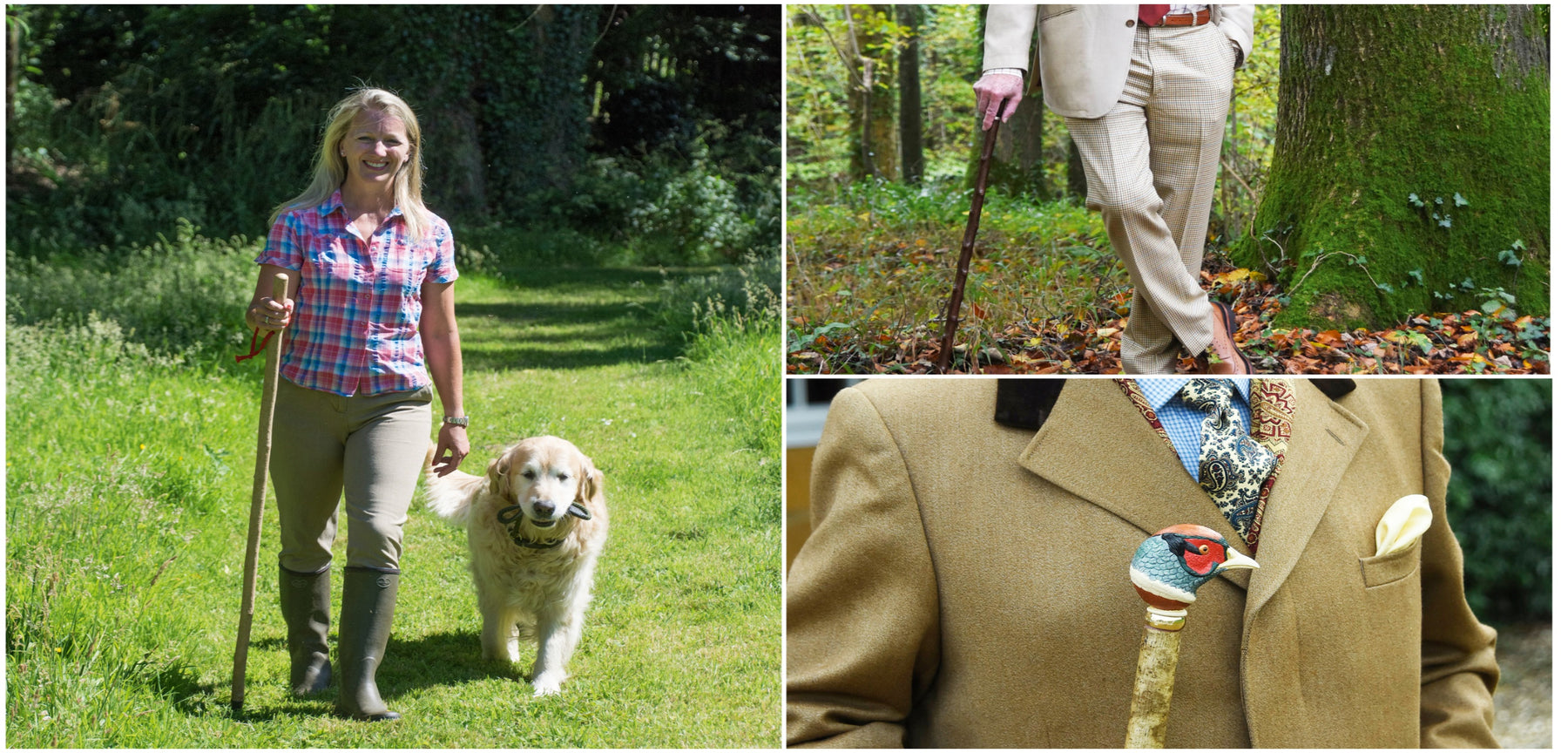 Everyday Walking Sticks: A Guide to Choosing the Perfect Support