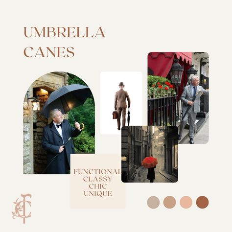 Umbrella Walking Canes: A Comprehensive Guide for 2026