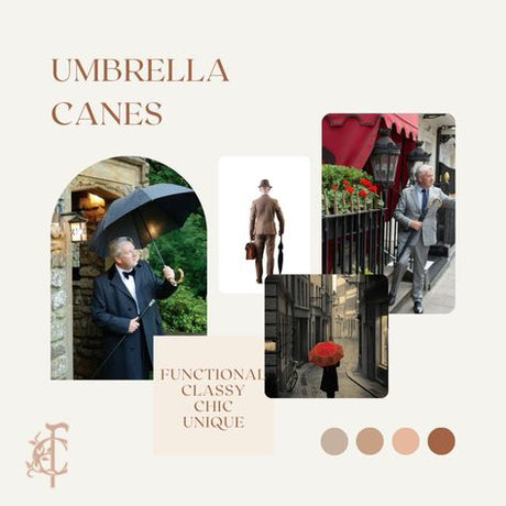 Umbrella Walking Canes: A Comprehensive Guide for 2026
