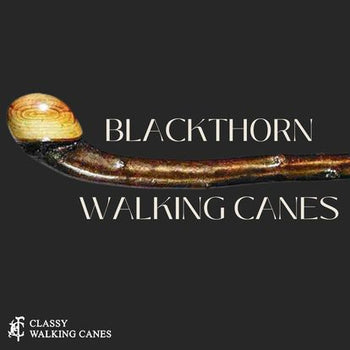 Blackthorn Canes