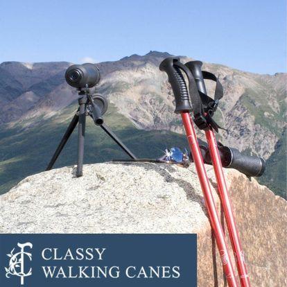 Hiking Poles and Staffs-Classy Walking Canes