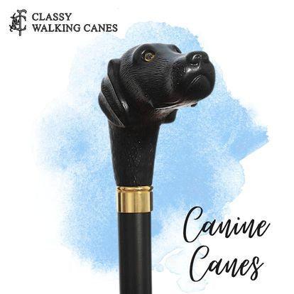 Walking Canes Dog Breeds-Classy Walking Canes