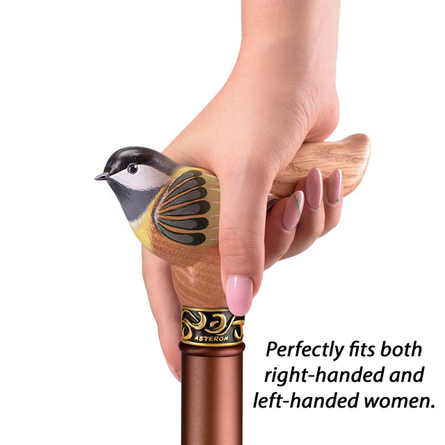 Handmade Birdie Walking Cane with Adjustable Aluminum Shaft-Classy Walking Canes