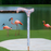 Adjustable Fashionable Flamingo-Classy Walking Canes