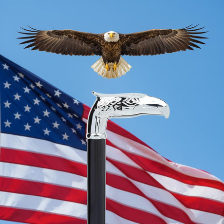 Ziggy Chrome Eagle Handle on a Black Shaft-Classy Walking Canes