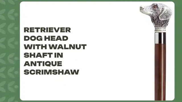 Retriever Dog Head with Walnut Shaft in Antique Scrimshaw by@Outfy