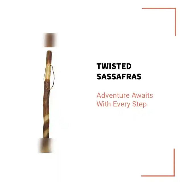 Twisted Sassafras by@Outfy