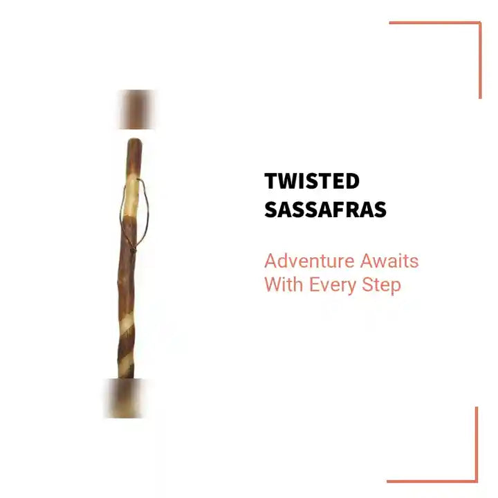 Twisted Sassafras by@Outfy