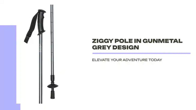Ziggy Pole in Gunmetal Grey Design by@Outfy