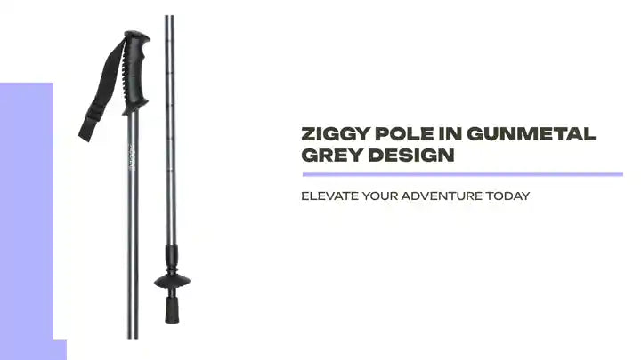 Ziggy Pole in Gunmetal Grey Design by@Outfy