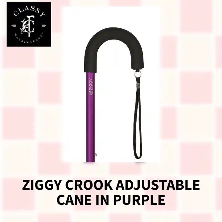 Ziggy Crook Adjustable Cane in Purple by@Outfy