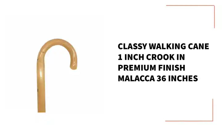 Classy Walking Cane 1 inch Crook in Premium Finish Malacca 36 inches by@Outfy