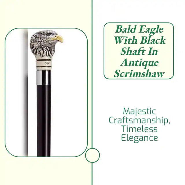 Bald Eagle with Black Shaft in Antique Scrimshaw by@Outfy