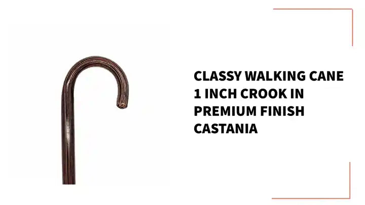 Classy Walking Cane 1 inch Crook in Premium Finish Castania by@Outfy
