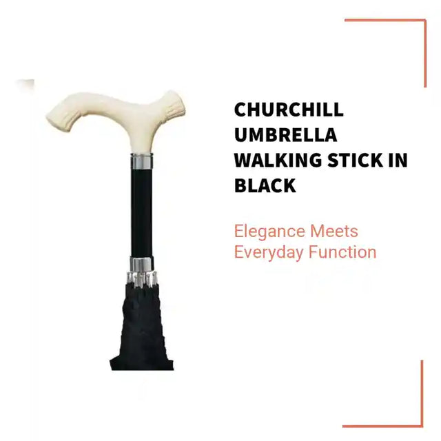 Churchill Umbrella Walking Stick in Black by@Outfy