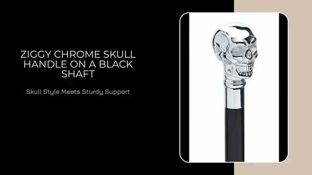Ziggy Chrome Skull Handle on a Black Shaft by@Outfy