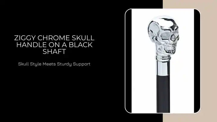 Ziggy Chrome Skull Handle on a Black Shaft by@Outfy