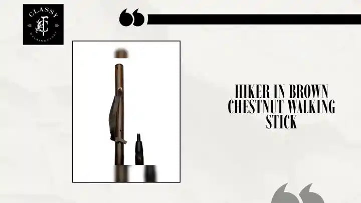 Hiker in Brown Chestnut Walking Stick by@Outfy