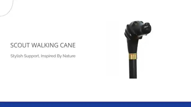 Scout Walking Cane by@Outfy