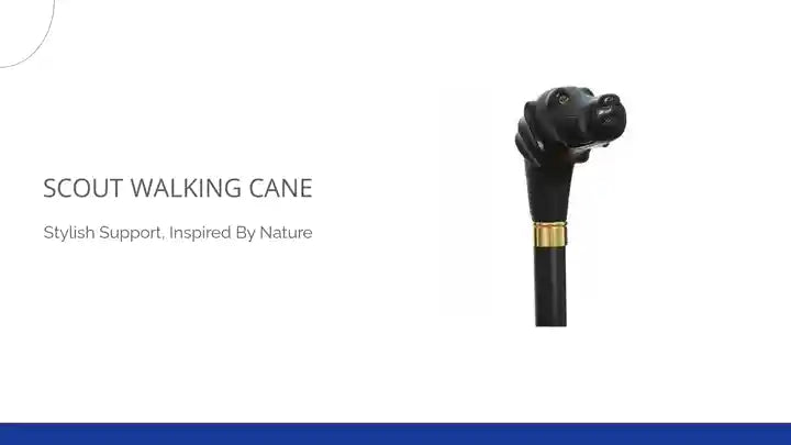 Scout Walking Cane by@Outfy