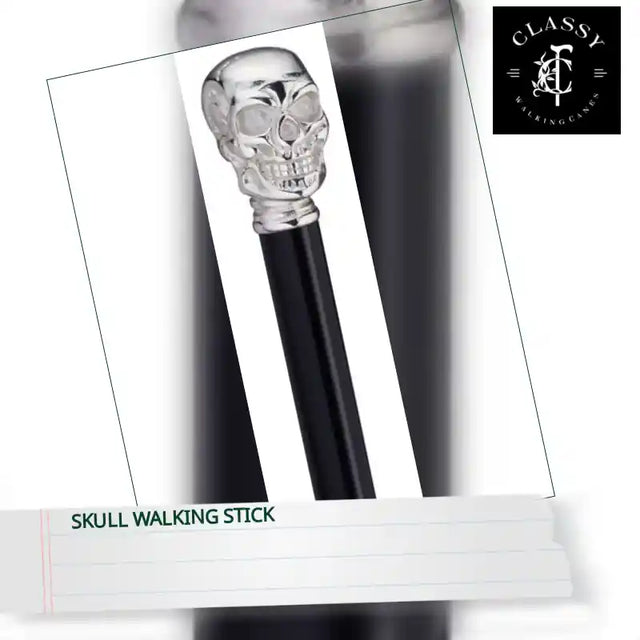 Skull Walking Stick by@Outfy
