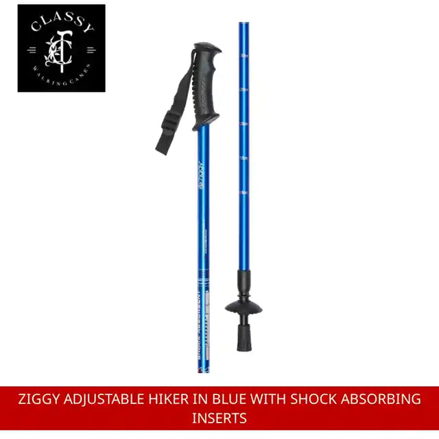 Ziggy Adjustable Hiker in Blue with Shock Absorbing Inserts by@Outfy